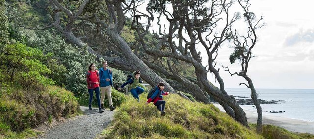 Mangawhai Cliffs Walkway - Moderately steep with many steps