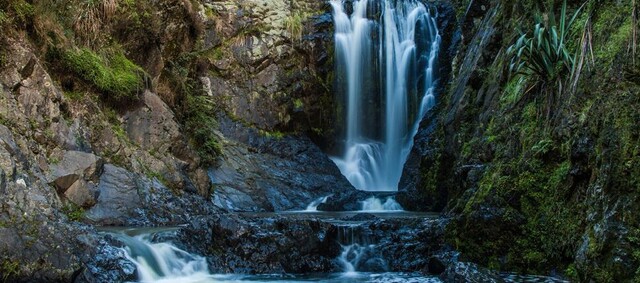 Piroa Falls - Walking track 200m return