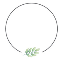 Mind, Body & Spirit Therapy. Access bars, Colour therapy, Kinesiology by Sage & Stone Te Awamutu Waikato