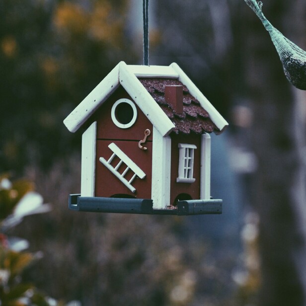 A house shaped birdhouse hanging from a tree branch.