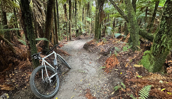 A big weekend in Rotorua