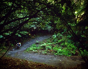 Eagle vs Shark - the people&#039;s favourite?