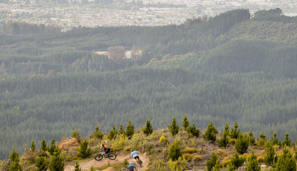 Do you Ride Rotorua?