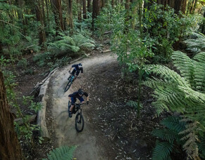 Mountain biking has a big impact on Rotorua&#039;s economy