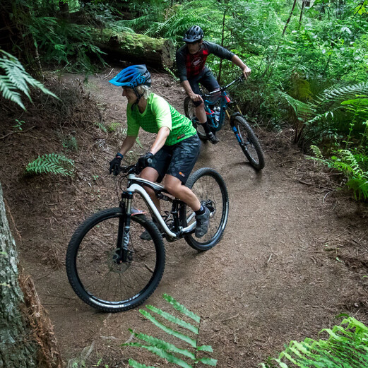 Best easy discount mountain bike trails