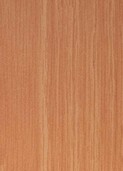 DARK OLD OAK v001