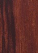 DARK GUM v002