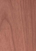 LIGHT GREY NATURAL CEDAR v001
