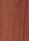 AUSTRALIAN CEDAR v001