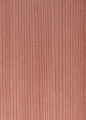 LIGHT GREY KAURI v004