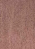 LIGHT GREY WEATHERED CEDAR v012