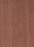 PALE WEATHERED CEDAR v001