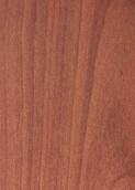 PALE NATURAL CEDAR v001