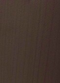 BLACK WARM CEDAR v009