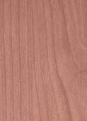 WHITE RUSTIC CHERRY v001 - interior use only