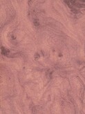 LIGHT BRIAR v006