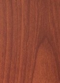 LIGHT NATURAL CEDAR v001