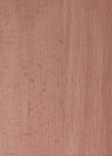 LIGHT GREY TAWA v001