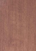 LIGHTEST WEATHERED CEDAR V012