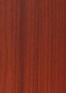 WARM CEDAR v009