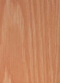 PALE OLD OAK v001