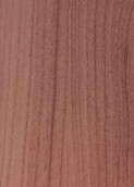 GREY AUSTRALIAN CEDAR v001