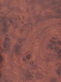 BRIAR v006