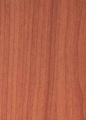 LIGHTEST WARM CEDAR v009