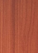 PALE WARM CEDAR v009