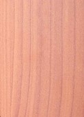 LIGHT OAK v012