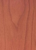 LIGHT GREY WARM CEDAR v009