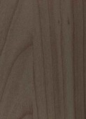 GREEN AUSTRALIAN CEDAR v001