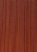 KAURI v004