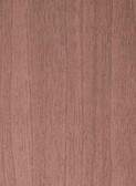 WHITE CHESTNUT v003 - interior use only