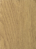 PALE ANCIENT CEDAR