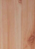 LIGHT WEATHERED PINE vS403
