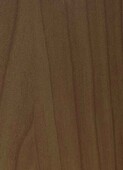 GREEN WARM CEDAR v009