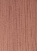 LIGHTEST COOL CEDAR v012