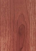 PALE RIMU v006