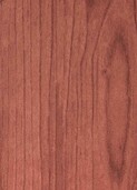 LIGHTEST RIMU v006