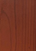 WARM AUSTRALIAN CEDAR v001