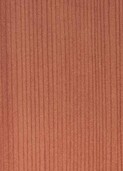 PALE KAURI v004