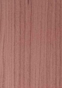 LIGHT GREY AUSTRALIAN CEDAR v001