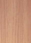 HONEY MANUKA v019