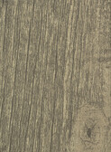 LIGHTEST ANCIENT OAK
