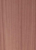 LIGHT GREY COOL CEDAR v012