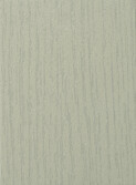 GREY BEECH -