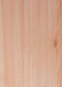 WHITE PINE vS403 - interior use only