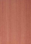 LIGHTEST KAURI v004