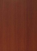 RICH KAURI v004